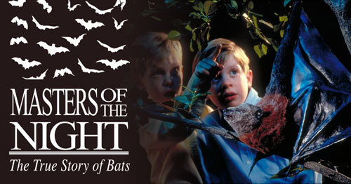 Masters of the Night: The True Story of Bats