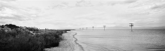 Telephone Poles at the Salton Sea by Ryann Ford
