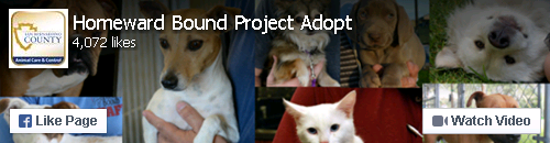 Animal Care and Control - Homeward Bound Project Adopt