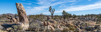 Joshua Tree National Park - Opens in a new window